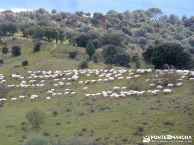 Río Manzanares - Puente Marmota; mochila senderismo; viajes en septiembre;senderismo de montaña